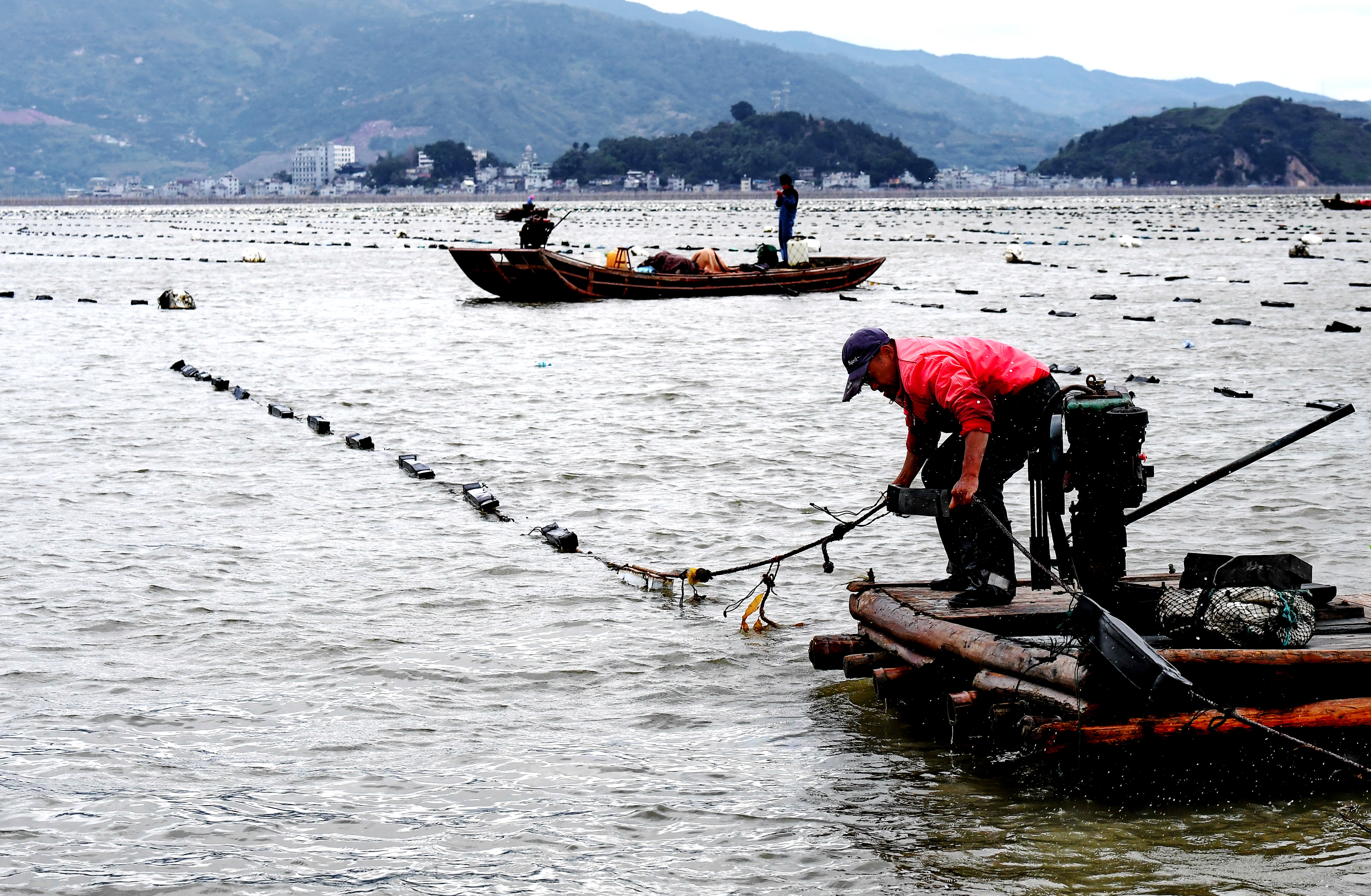 福建霞浦:渔民海上忙冬播