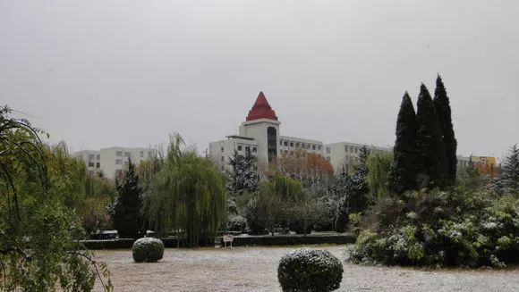 魯東大學標誌性建築紅頂樓,四周植物上零星掛著積雪.