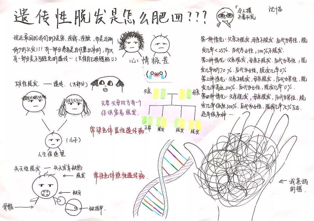 校园采贝201842期从孟德尔的豌豆到基因编辑婴儿