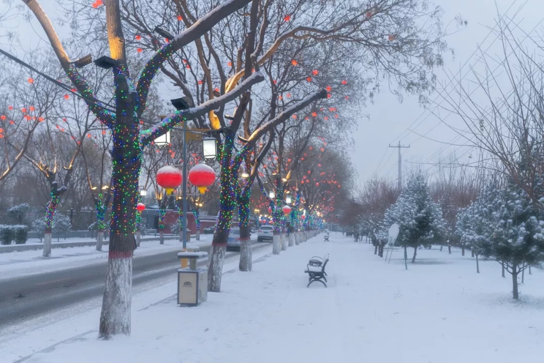 石家庄一场小雪,古城正定的雪景美爆了!