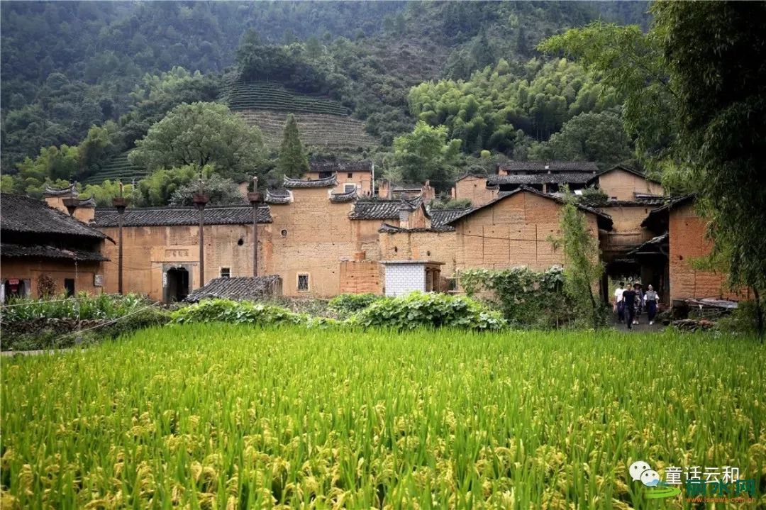 74雲和縣石塘鎮金山下村縉雲縣新建鎮夏家畈村已經有700多年的