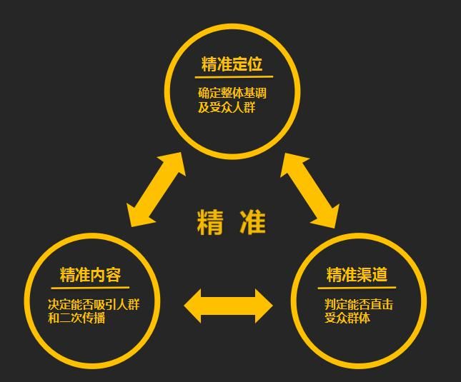 空折实战ai领域目标精准投放豹豹龙案例报告