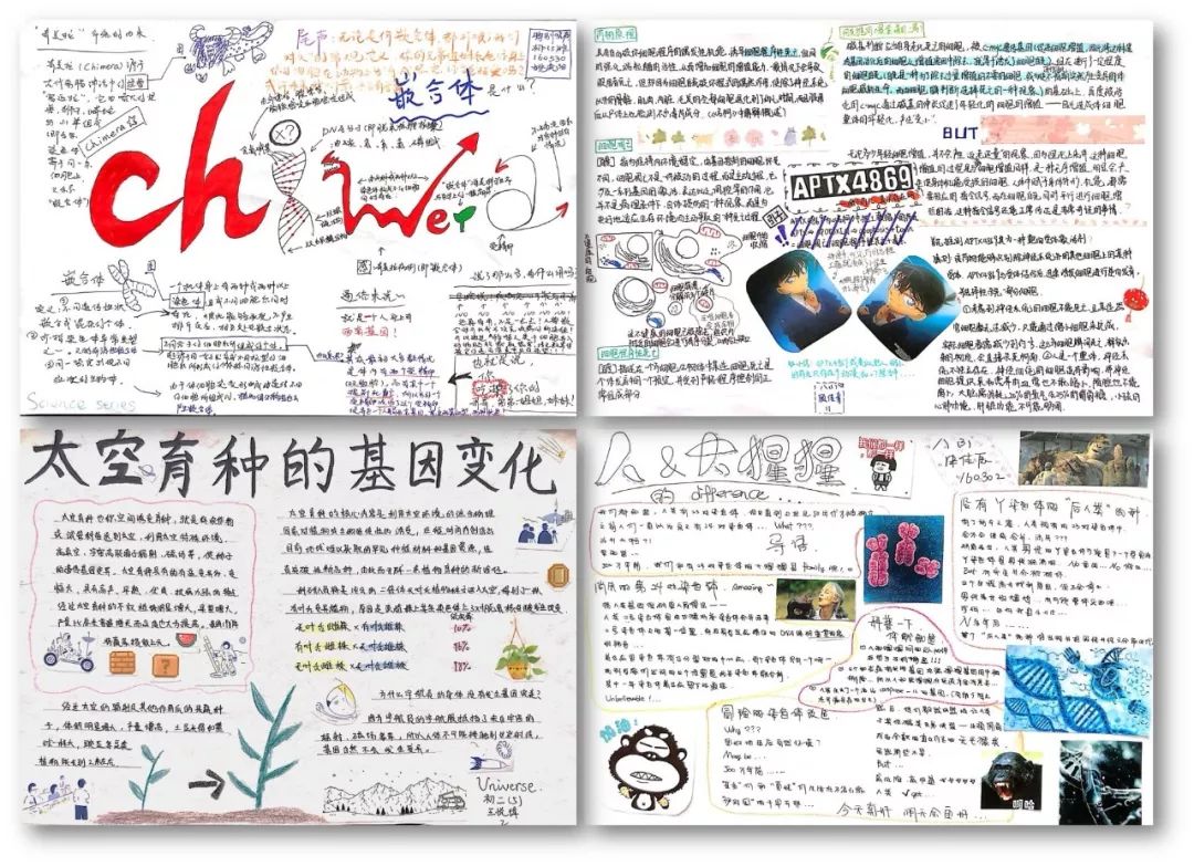 转基因技术手抄报简单图片