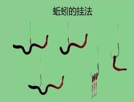 蚯蚓钓鱼挂钩方法图片