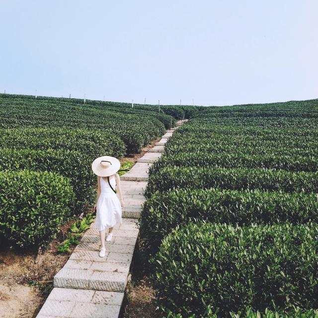 来杭州旅行女生最爱拍照的民宿,别墅阁楼远眺茶田,星河浴缸泡澡