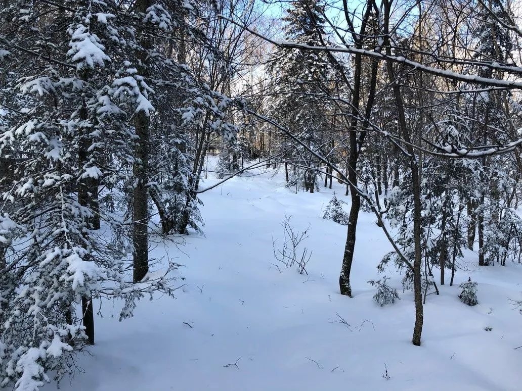 程序員寄雪求婚雪化了你永遠不知道直男會送你什麼