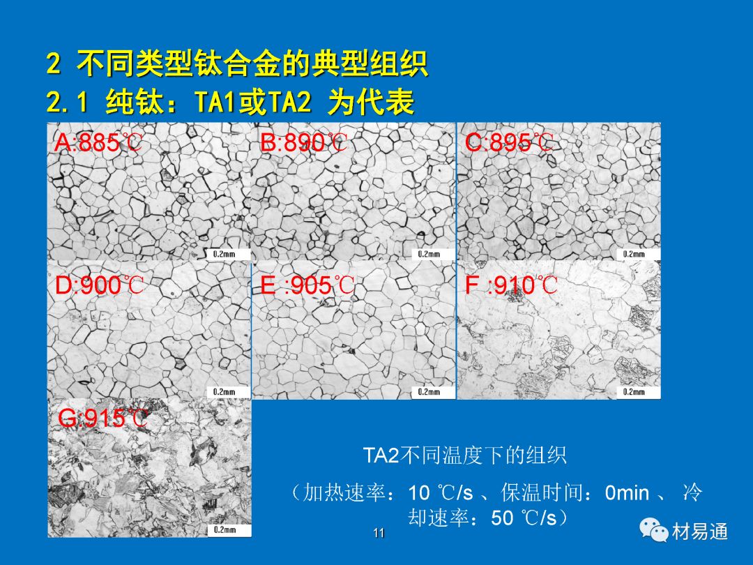 课堂钛及钛合金典型组织