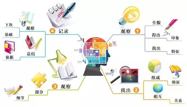 教你如何快速掌握思維導圖的核心技巧