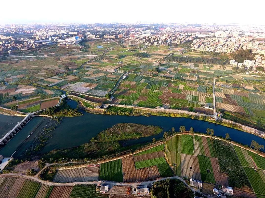 【村居风采】安海曾埭村:从不起眼的小村庄到远近闻名的"网红村"