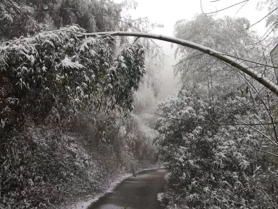 益阳下雪图片图片