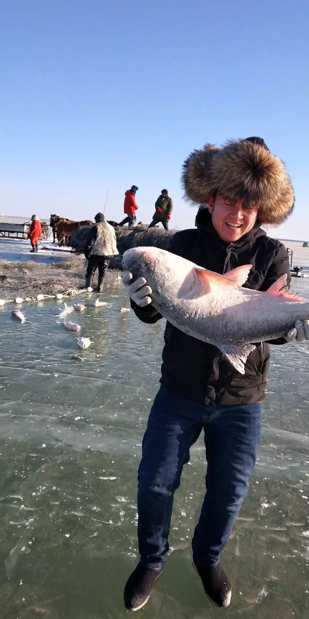 又上央视了纯正查干湖野生鱼又来了天津人不出家门就能吃到