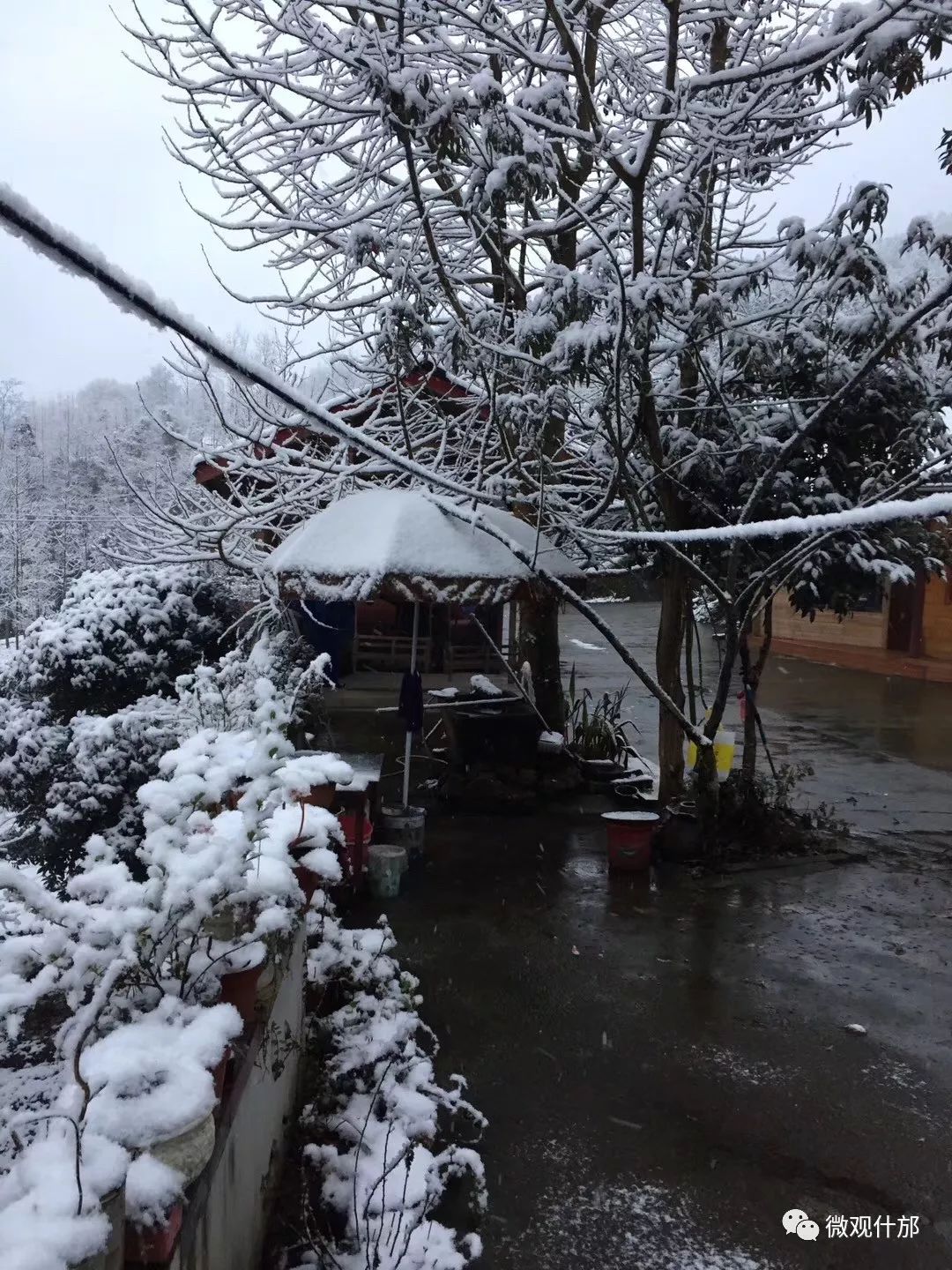 强降温,什邡山区的雪已经堆起了,足足有5厘米厚!