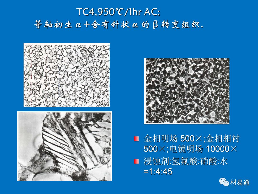 课堂钛及钛合金典型组织