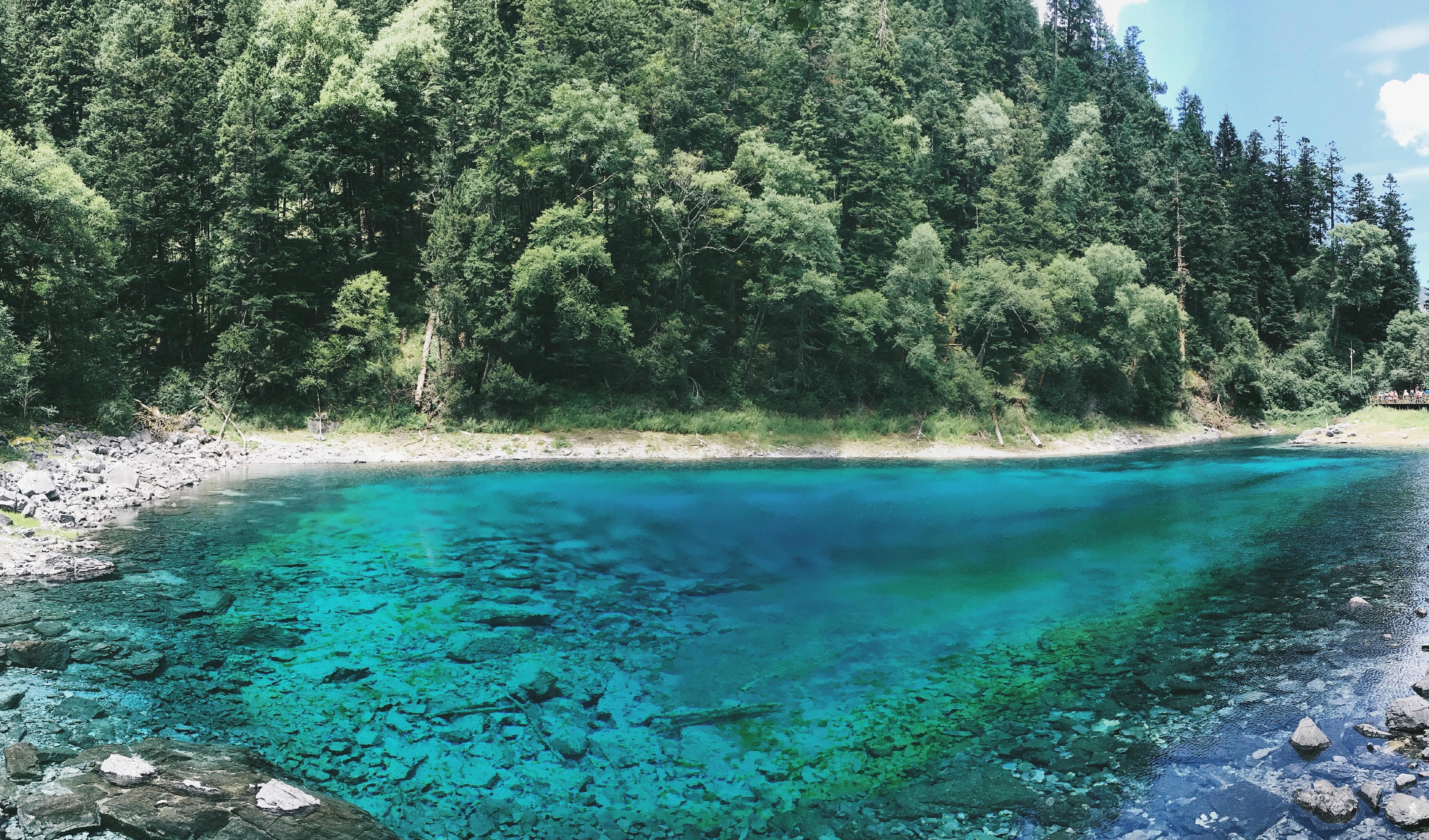 怀念夏日九寨沟的那一抹清凉