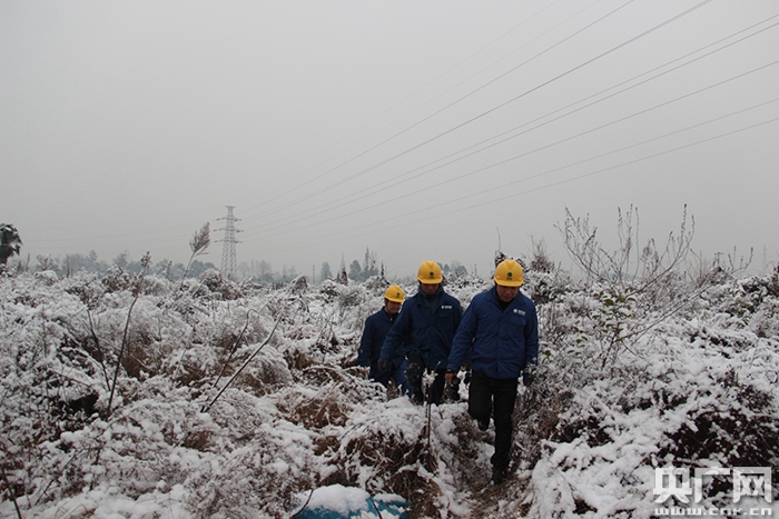 四川迎来雨雪电力工作人员正在巡检线路(央广网发 国网四川电力公司供