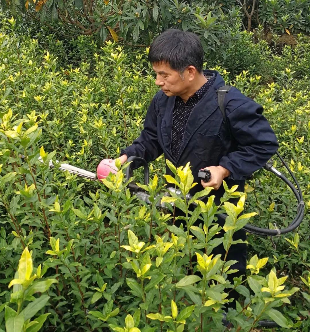 桐庐县瑶琳镇镇长图片