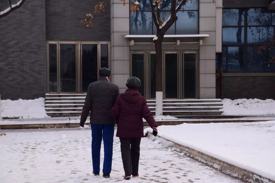 雪中漫步白头图片图片