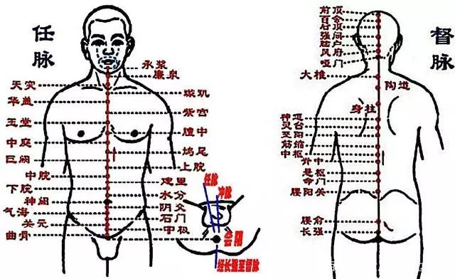 完美的脊柱應該是有韌性,有彈性的,這是因為記住,在我們人體內起到最