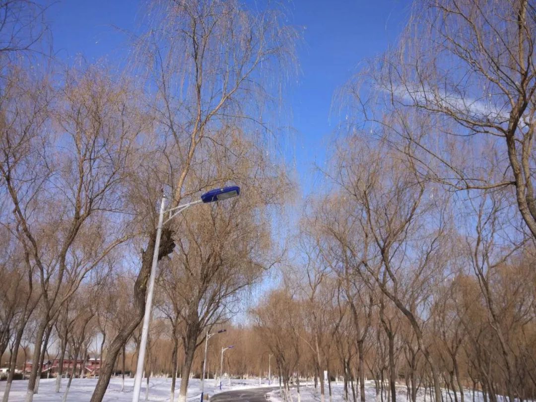 雪後秀水迴歸素顏的驚豔