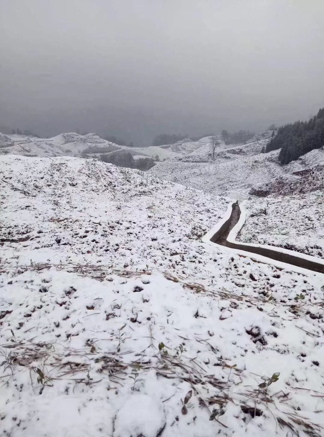 天宫山的雪