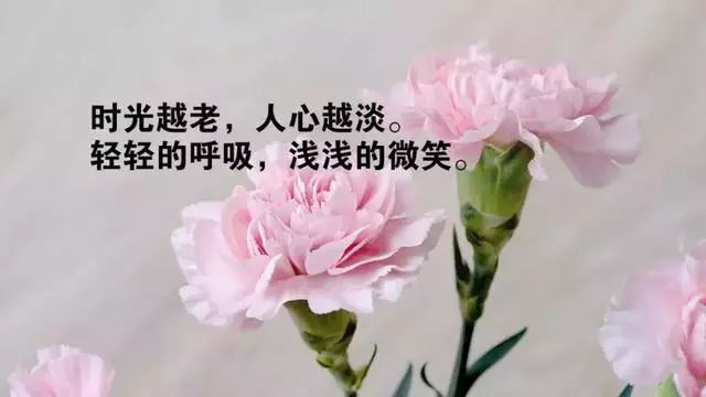 適合發朋友圈的心靈雞湯經典的感悟人生的句子