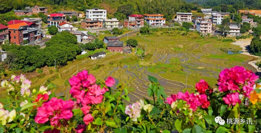 岵山镇文溪村