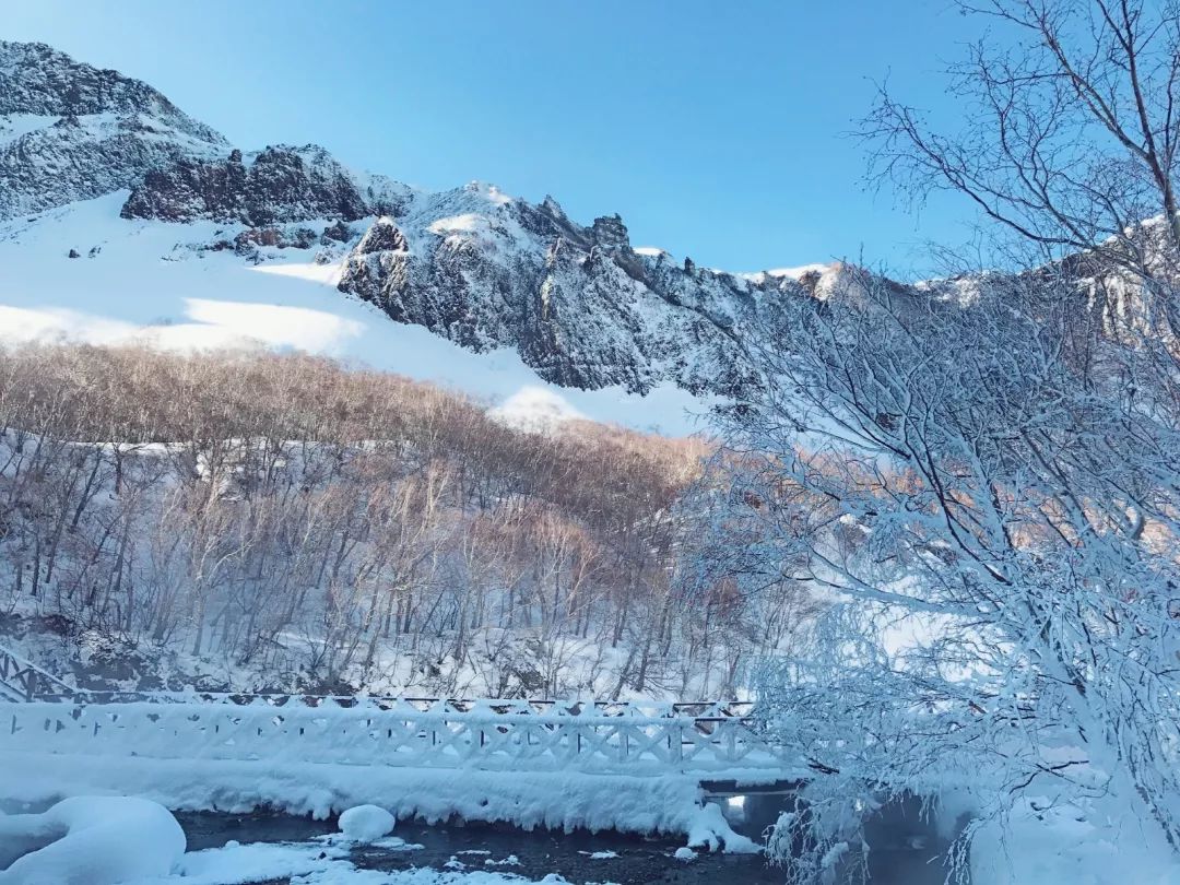 東北冰雪童話哈爾濱雪鄉亞布力滑雪溫泉雪地卡丁車馬拉爬犁冰雪畫廊