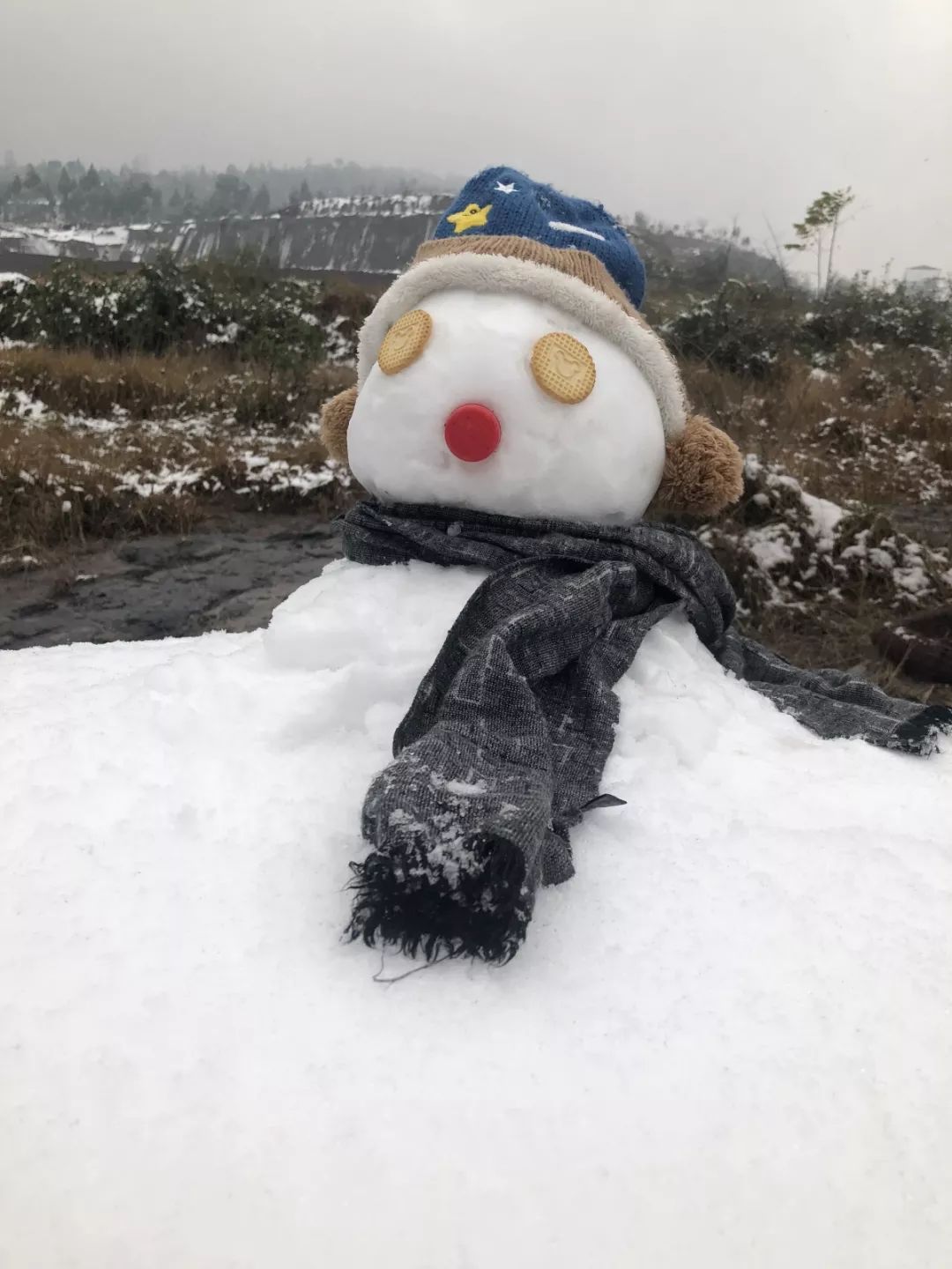 圖集巴中雪再大也大不過網友堆雪人的腦洞一個比一個奇葩