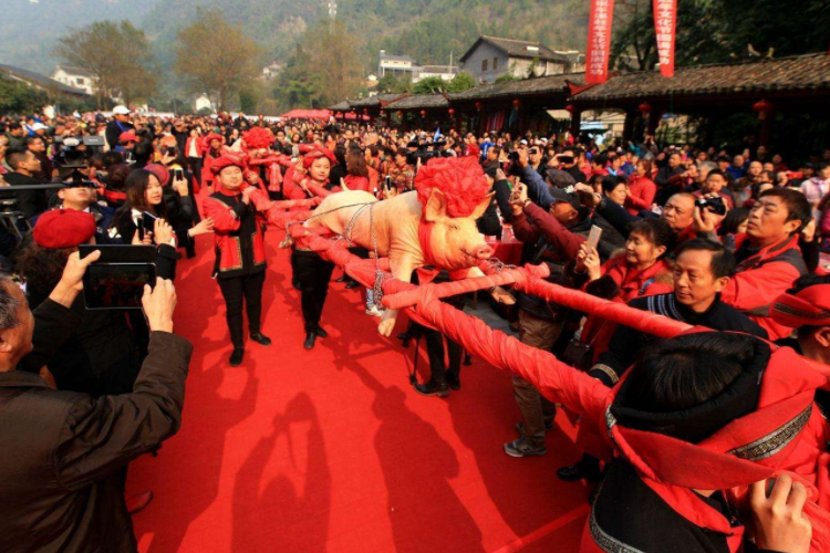 土家族的"杀年猪"习俗,引来上千游客前来"蹭饭"