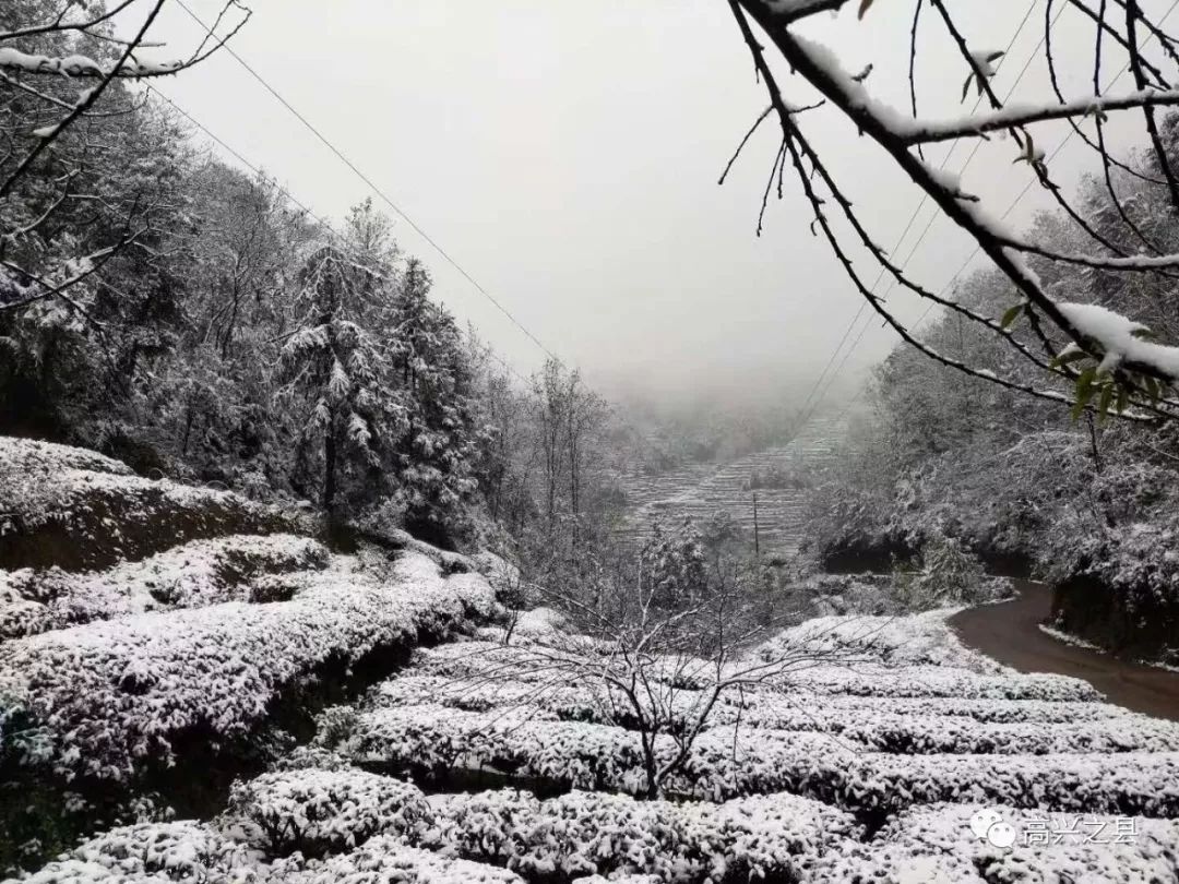 最低气温1高县这些地方下雪啦