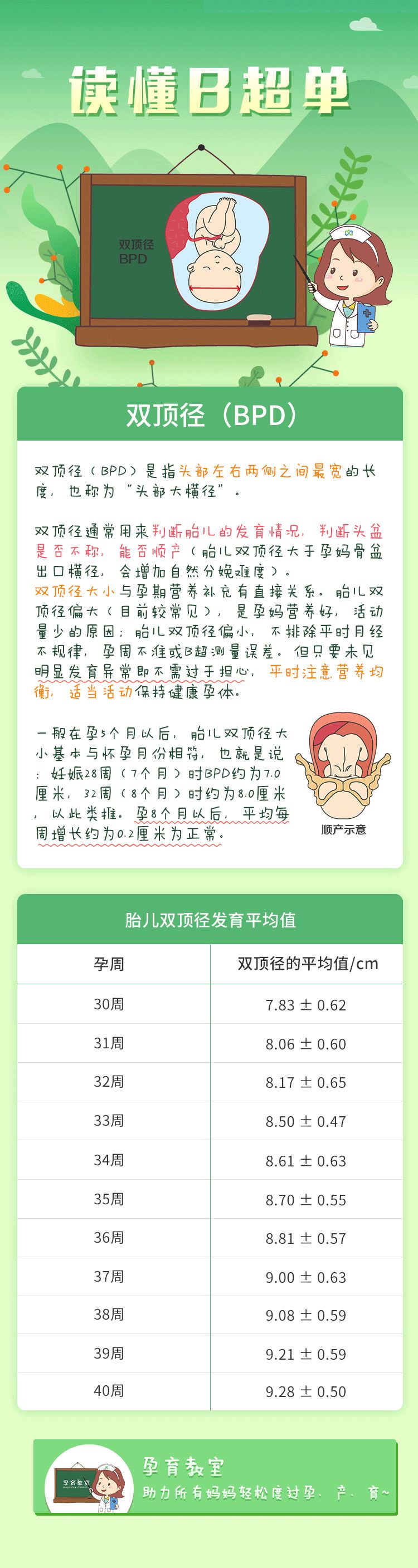 胎儿bpd对照表图片