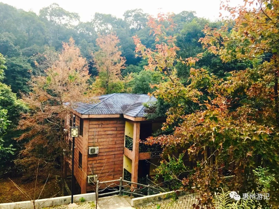 烧烤,野炊树上玫瑰谷秋枫寨旅游度假区地址:惠州市博罗县公庄镇官山村