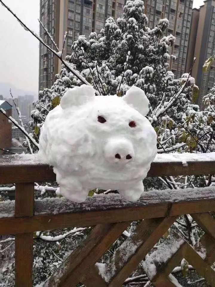 雪人猪怎么堆图片图片