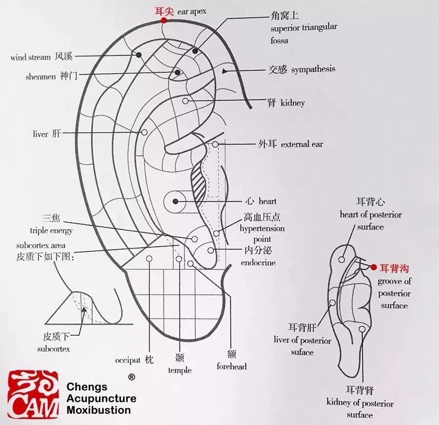 神奇!血压平稳了,这个安全又迅速的降压方法连医生都在用