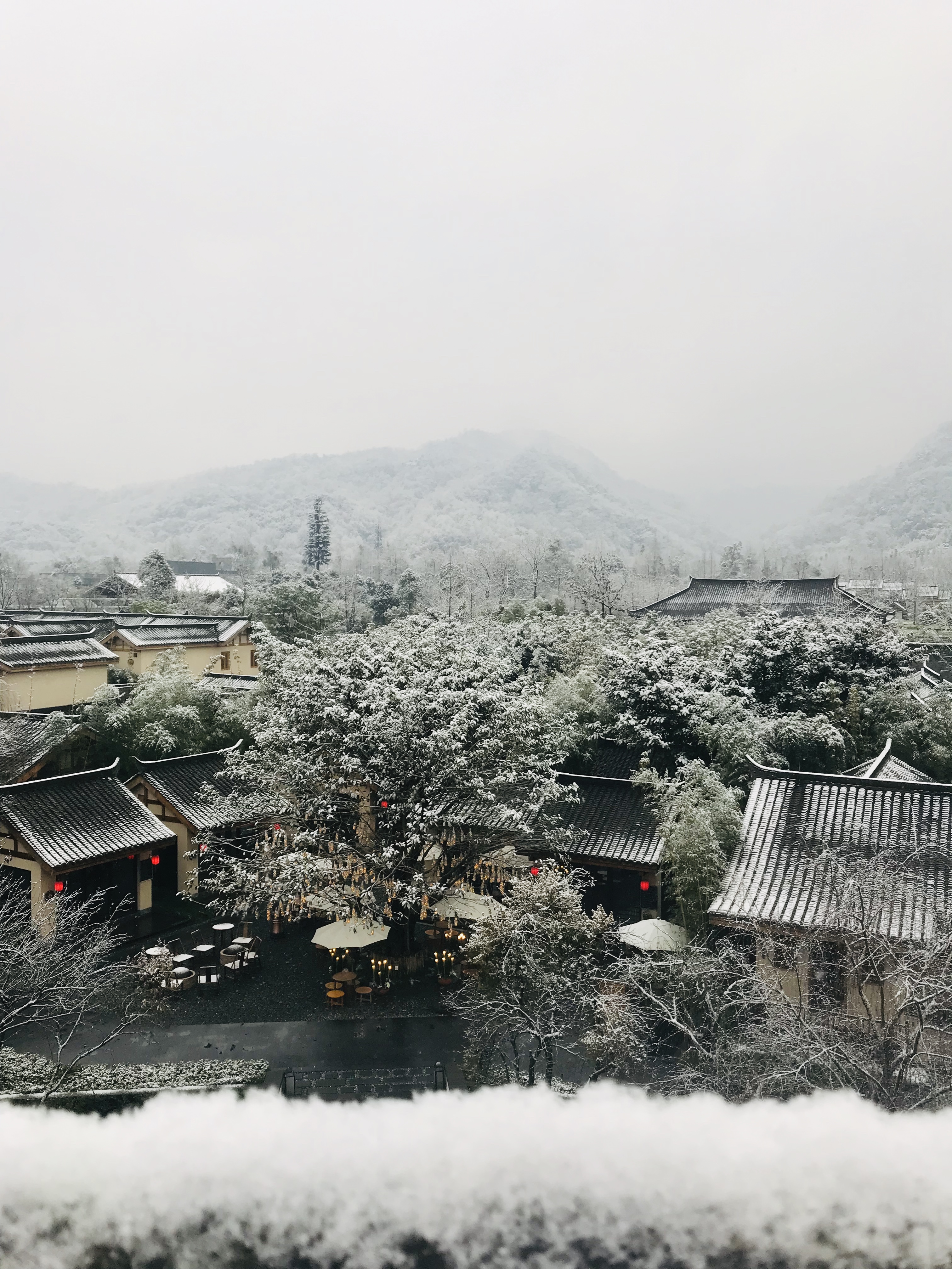 成都下雪,眺望青城山雪景