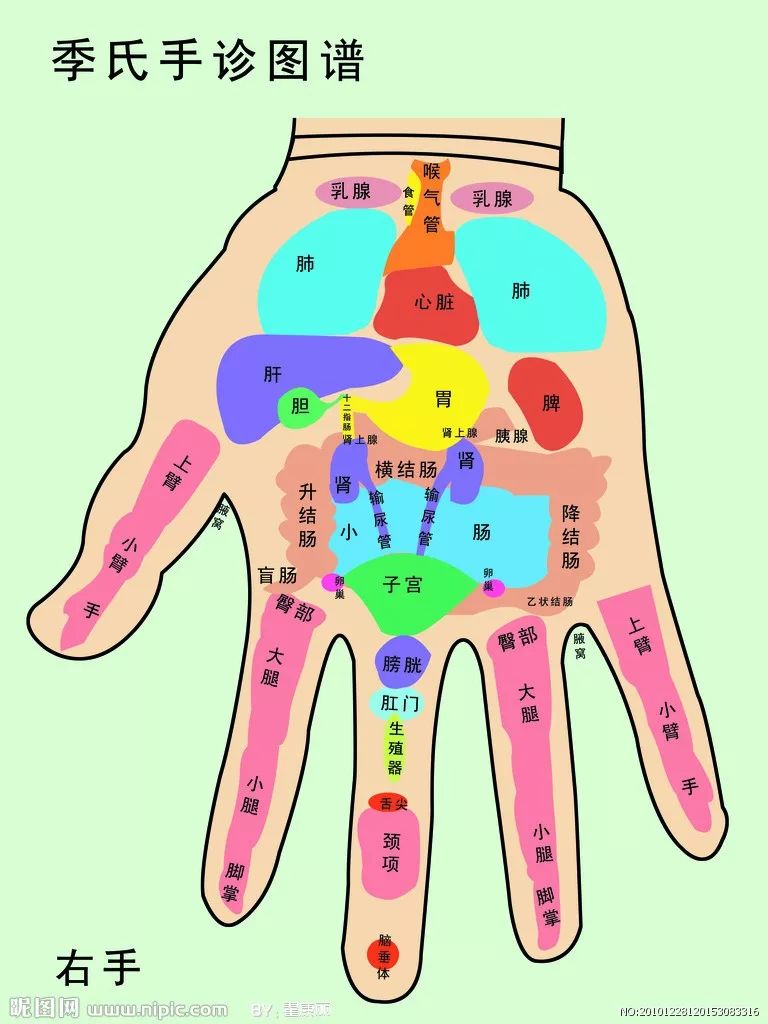 [中医文化]中医如何看手诊病