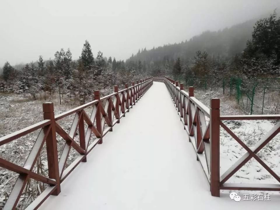 今天石柱多个地方下雪雪景刷爆朋友圈