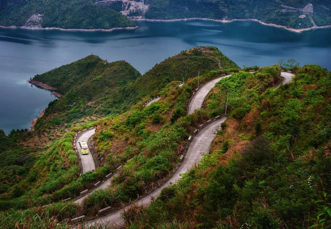 葉邁峰《金龍起舞》2015年4月24日攝於青田縣湯垟鄉金雞山 傅劍明