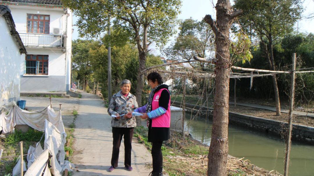 石湖荡东夏村图片