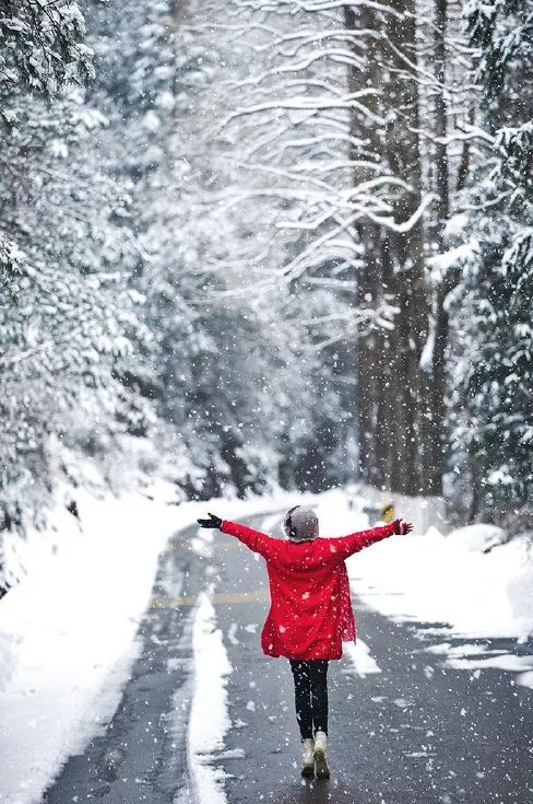 雪地里的背影图片