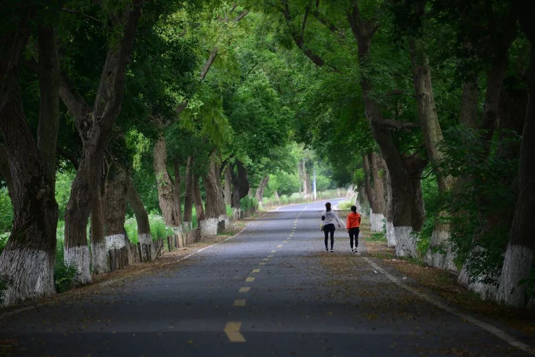 公示 浙江省"四好农村路"摄影大赛获奖作品_公路