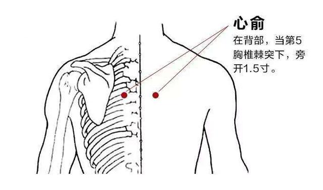 按摩心俞穴缓解心痛还能调节失眠