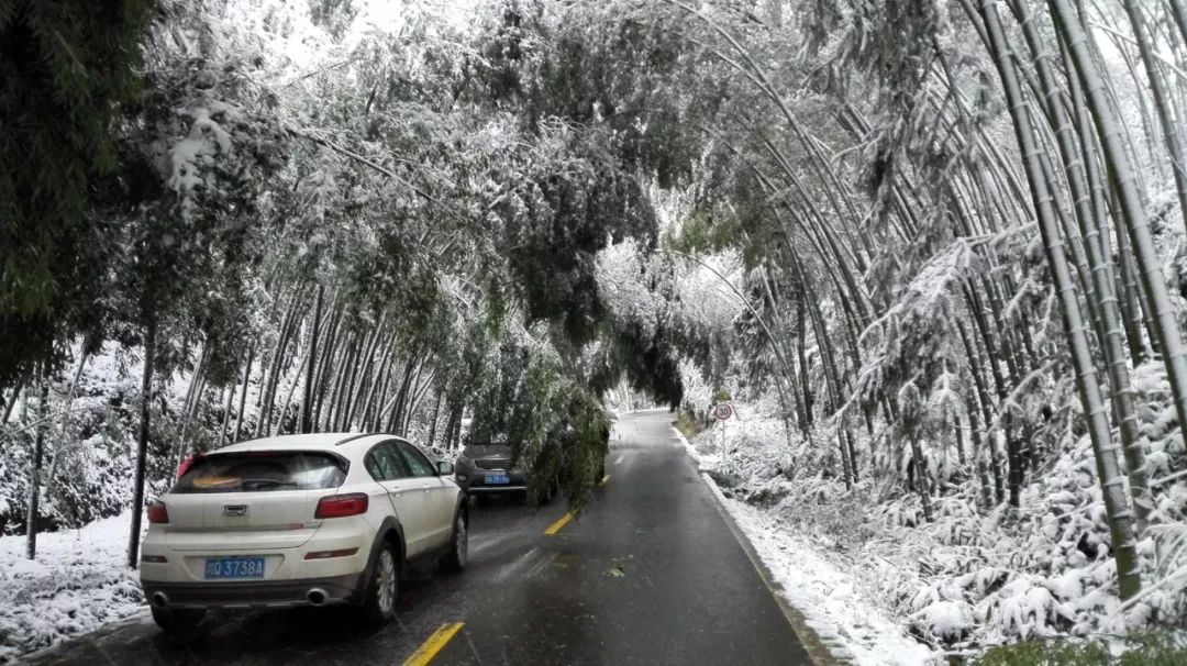 宜宾天宫山下雪了图片