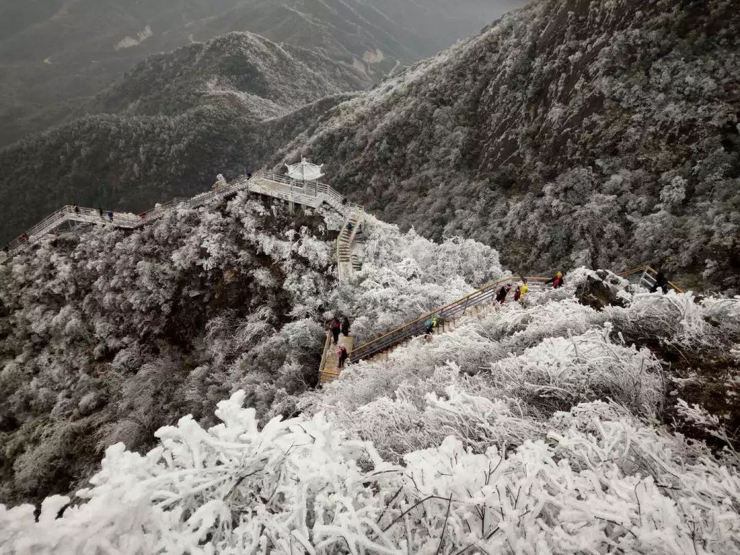 今日实拍广东下雪!最低-5!惠州多地寒冷黄色预警已生效