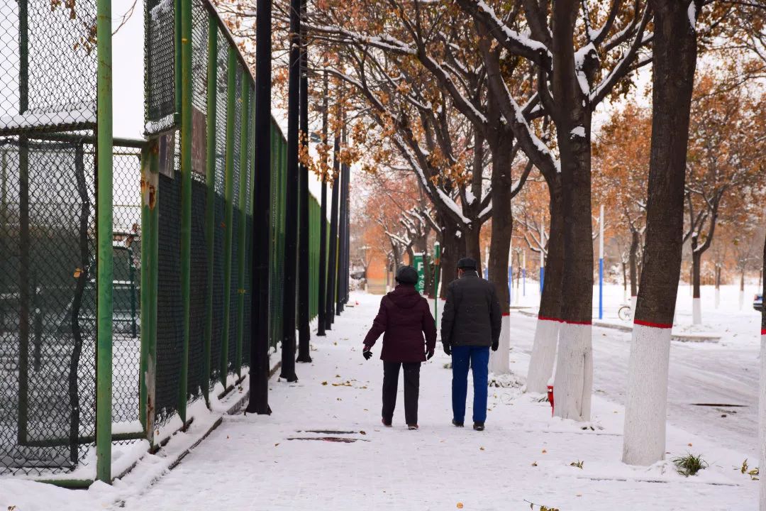 雪中漫步白头图片图片