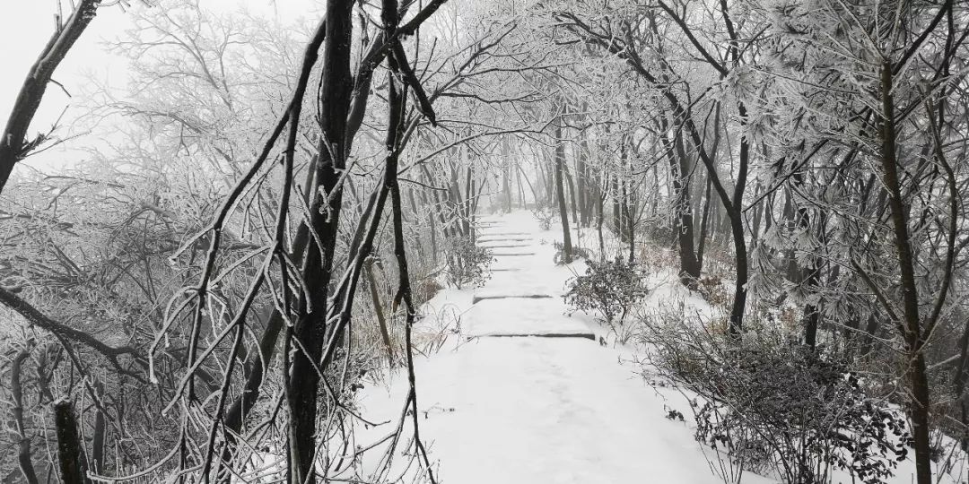 浦江美女峰雪景图片