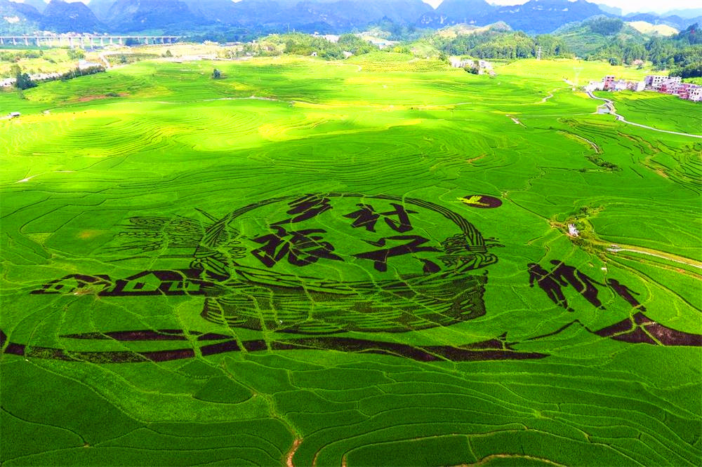 乡村振兴背景下大修土地管理法:农村土地和宅基地资源得解放