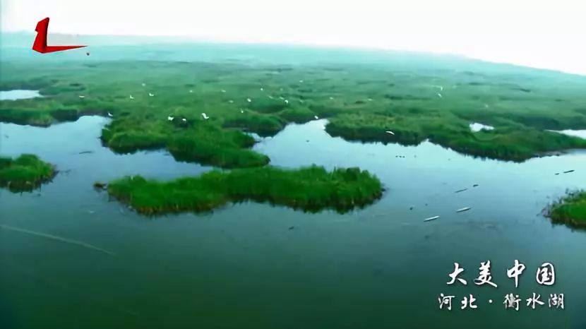 大美中國61河北衡水湖這才是真正的鳥瞰風光