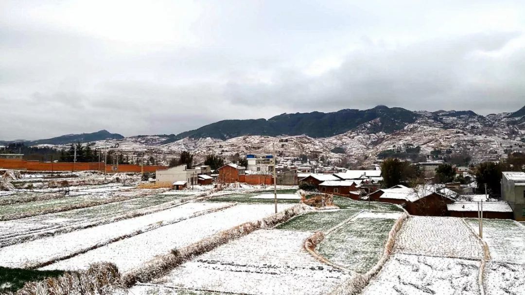 會澤下雪引出那麼多民間段子高手