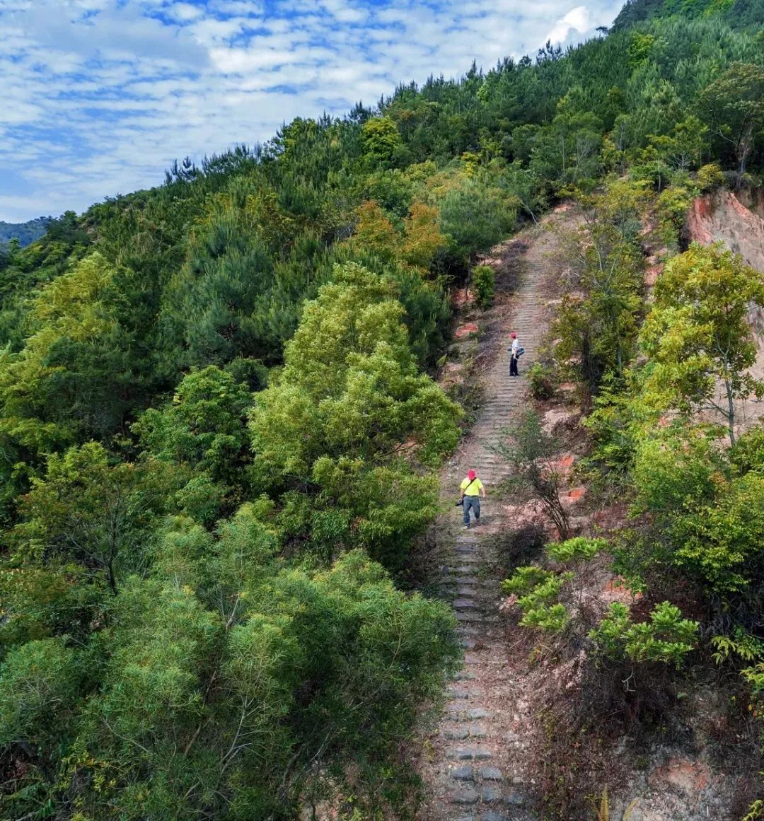 饶平麒麟岭古道竟然这么美.